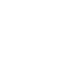 Mute Mute